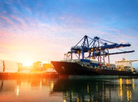 Brexit, and now what? Scenarios for Trade