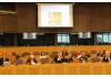 European Movement adopts new policy positions at Members’ Council